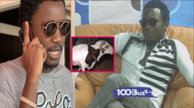 Vidéo – Sidy Diop « je n’ai pas récupéré le mouton que Wally Seck m’ a offert parce que… »
