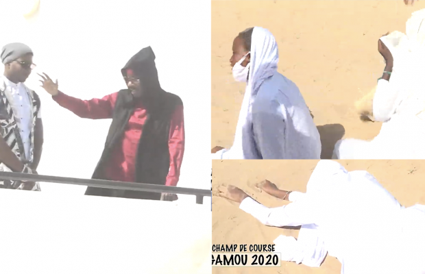 Gamou 2020 : Accueil spectaculaire de Serigne Moustapha SY au champ de course, Des talibés en transe (Vidéo)