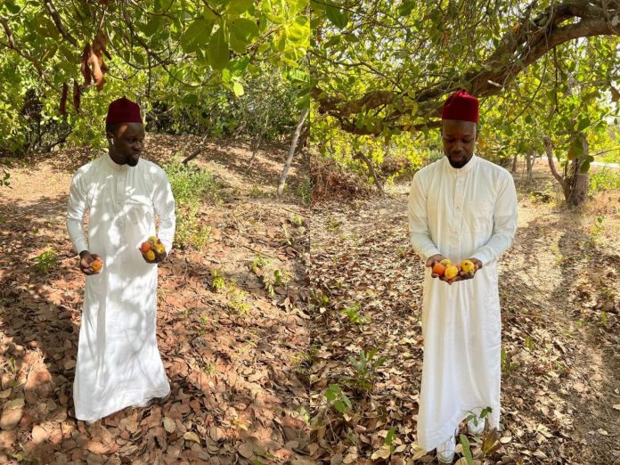 Casamance : Ousmane Sonko