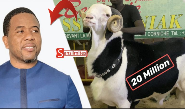 Vidéo-Tabaski : le Mouton nommé Bougane Gaye vendu à plus de 20 million