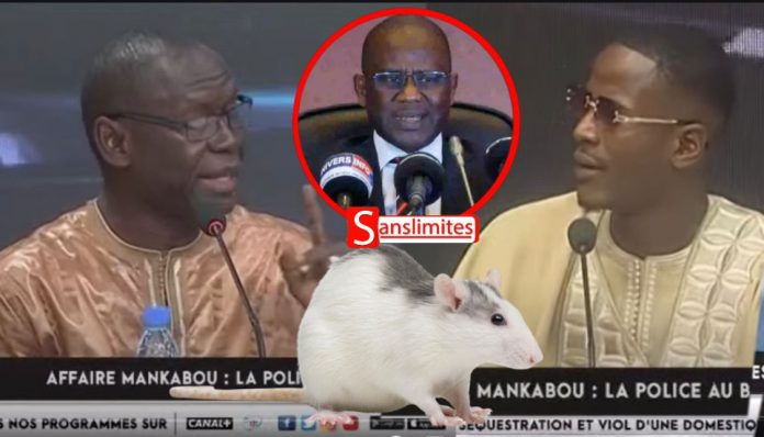 (Vidéo) S Saliou Gaye et Omar talla taclent le Procureur «Sénégalais Dou Kaniaa, Dé rék... »