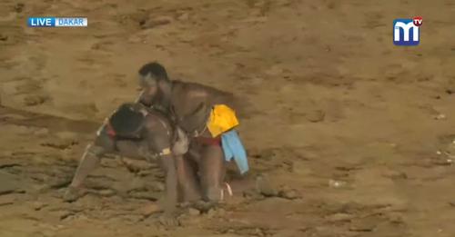 Vidéo : Papa Boy Djiné secouru par un de ses proches pour éviter sa chute..Ama Baldé entre dans …