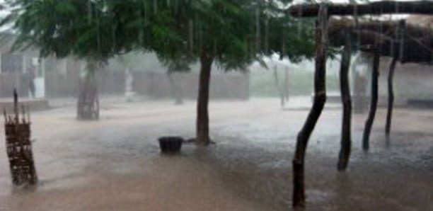 566 mm de pluies enregistrés en une journée à Vélingara : Plusieurs maisons effondrées à Nemataba