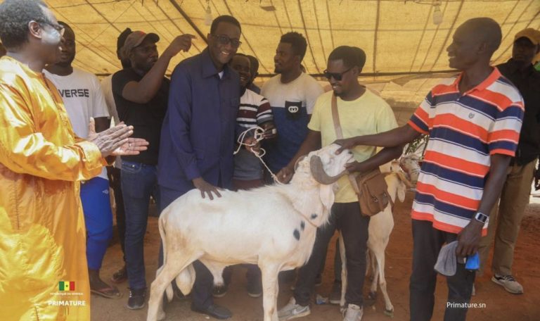 Tabaski 2023: Echange fructueux entre le ministre de l’Elevage, Amadou Ba et les éleveurs…(Photos)