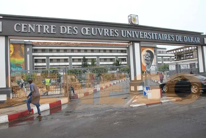 Meilleures universités francophones en Afrique : L’Ucad conserve sa première place (UniRank 2023)