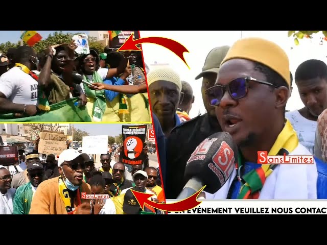 Cheikh Bara Ndiaye dans ses œuvres “ Souma Macky messagé ma waxko date boubax ci elections yi (Vidéo)