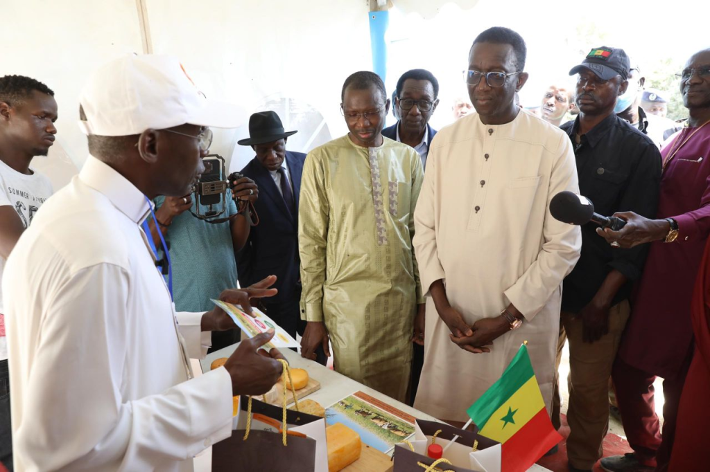 Élevage : Le Premier Ministre Amadou BA réceptionne 1300 génisses gestantes à haut potentiel de laitier (Photos)