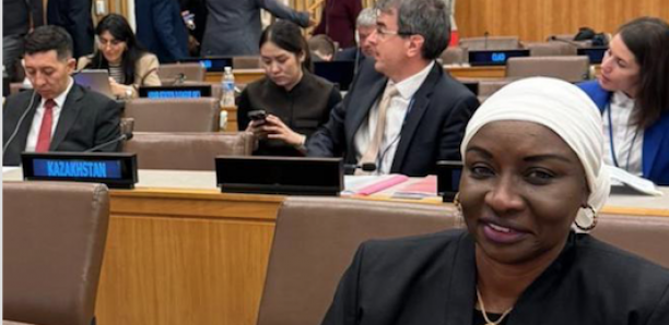 Mimi Touré participe à la session 2024 des nations unies