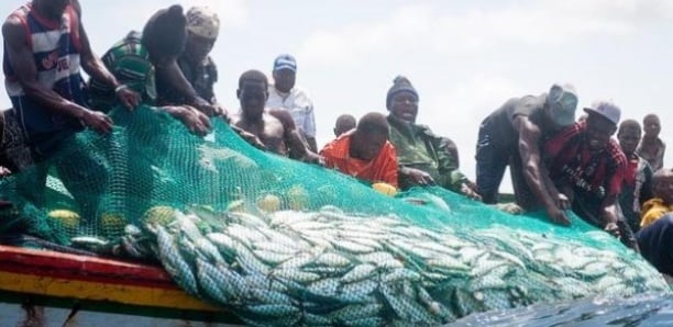 Octroi de licences de pêche : Le rapport Ofnac 2021 révèle des pratiques non prévues par les textes