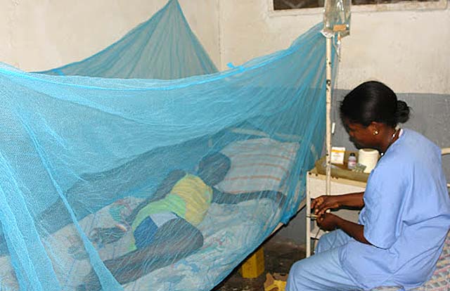 Sénégal : 199 cas de décés liés au Paludisme en 2023