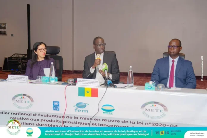 Pollution-plastique-900x599