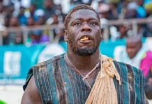 FRANC DÉFIE LES FRÈRES SAKHO – « Je peux battre Sa Thiès en 30 secondes et Balla Gaye 2 en 20 »
