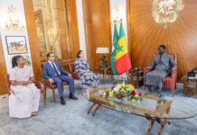 Coopération Sénégal-FMI : Bassirou Diomaye Faye reçoit la délégation du Fonds monétaire international